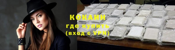стаф Волоколамск